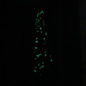 BAPE shark jacket GLOW IN THE DARK